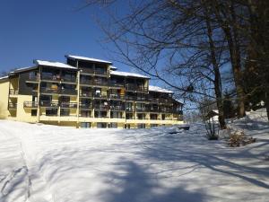 Appartements Joli studio aux Carroz d-Araches : photos des chambres