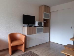 Appartements Joli studio aux Carroz d-Araches : photos des chambres