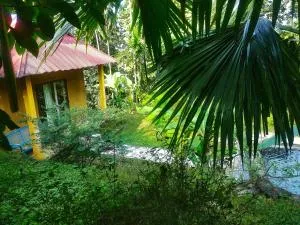 Petrichor Forest Retreat - Chālsa