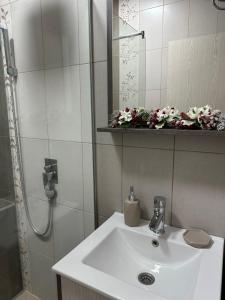 Apartment Mountain View Haven