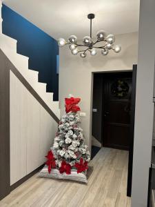 Apartment Mountain View Haven