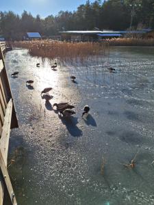 Appartements Appartement de charme le 1707 au coeur de la cite Vauban : photos des chambres