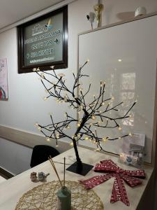 Apartment Mountain View Haven