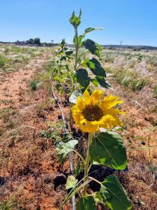 Quentin Park Hideaway 1