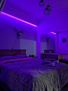 AXD Luxury apartment