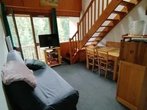 Duplex au Lioran avec balcon, proche pistes et commerces - FR-1-787-25 - 拉维西尔