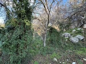 Tremythia Homes - Deluxe loft and 2-bed houses