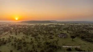 Kobe Mara - Mara Simba