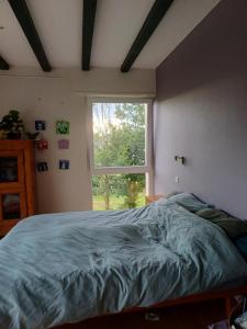 Villas Villa avec piscine en Alsace : photos des chambres