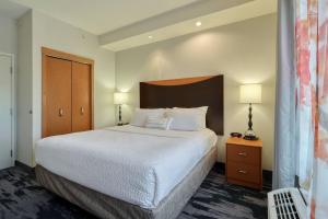 1 Bedroom 2 room Suite, 1 King, Sofa bed room in Fairfield Inn & Suites by Marriott Harrisburg West/New Cumberland