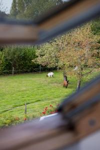 B&B / Chambres d'hotes Ferme de Marpalu : photos des chambres