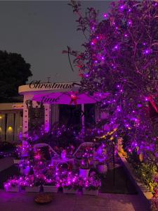 Garden view cottage, peaceful luxury stay