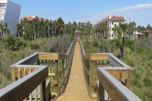 Oceanside complex M33 1 Bed 1 Bath Heated Pool