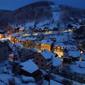 Lauschablick FeWo Thüringen