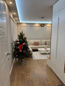 Jolie Center Apartment