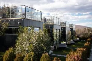 Horizons Bakurtsikhe - 西格纳吉