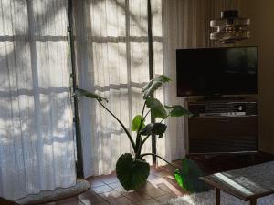 Stay Classy - Cottage