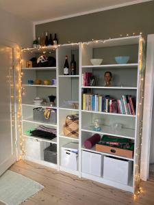 Central cozy apartment in Amager