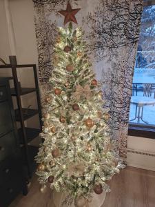 Upea rivitalon päätyhuoneisto