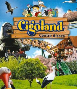 Appartements Appartement proche gare : photos des chambres