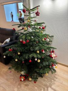 Appartements Appartement proche gare : photos des chambres