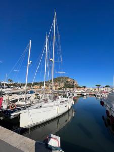 Elisabeth Suite Apartment