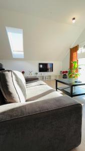 House FLOW, 3 room, free 2 parking