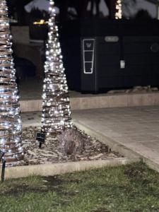 Öregvíz Vendégház