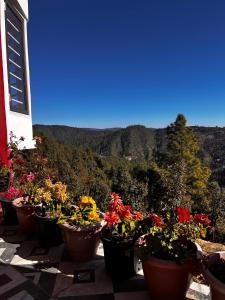Naturescape Villa with Terrace