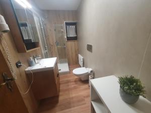 Ferienhaus-Schönwald im Herzen des Schwarzwaldes 1Zimmer Wohnung mit Terrasse App17