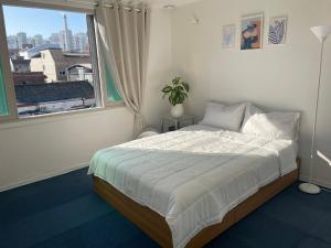 Moyo stay 모요스테이