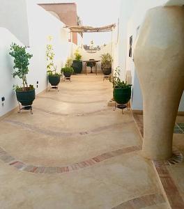 Riad Le Jardin des Matières