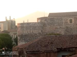 Fikus APT relax Castello Ursino