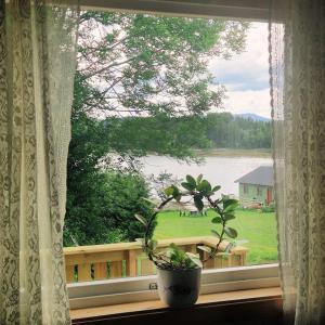 Gjestehus på bondegård, med båtutleie