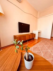 Şehrin Merkezinde Yaşamın Kalbinde