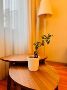 Şehrin Merkezinde Yaşamın Kalbinde