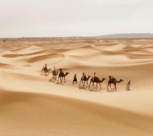 Erg Chegaga nomad tour - Ubytování bez kategorie ve městě Mhamid