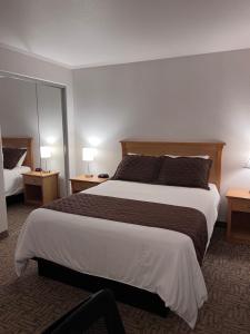One-Bedroom Suite room in Hotel North Pole