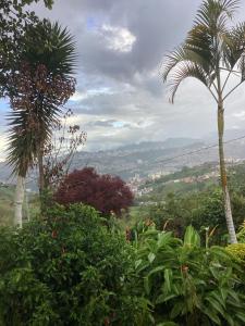 Las Hamacas Mountain Hostal Apto Independiente #2