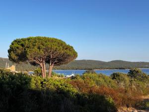 Appartements Casa 115 : photos des chambres