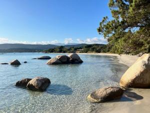 Appartements Casa 115 : photos des chambres