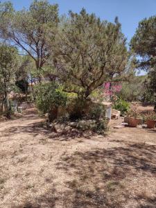 Gardenia House img15