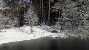 Apartamenty Jezioro i Las Mazury