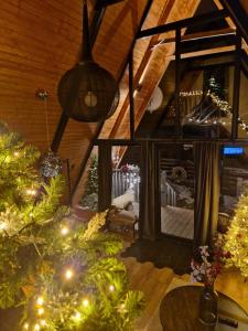 Harmony Villa Lupeni Straja