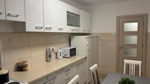 Charming Vracar Apartment near Saint Sava Temple