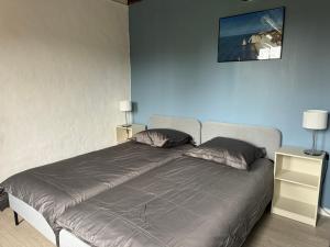 Maisons de vacances La ferme d-Hareauville - Heated swimming pool : photos des chambres