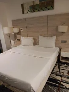 helnan royal hotel دبي - 八田