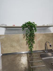 Apto studio Prado wiffi y Air conditioning