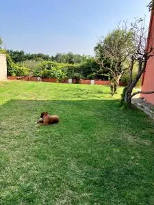 Descanso del GUERRERO - San Miguel de Fluviá