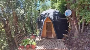 Domo El Avellano Los Pellines Número 2 con Tinaja - Pinto